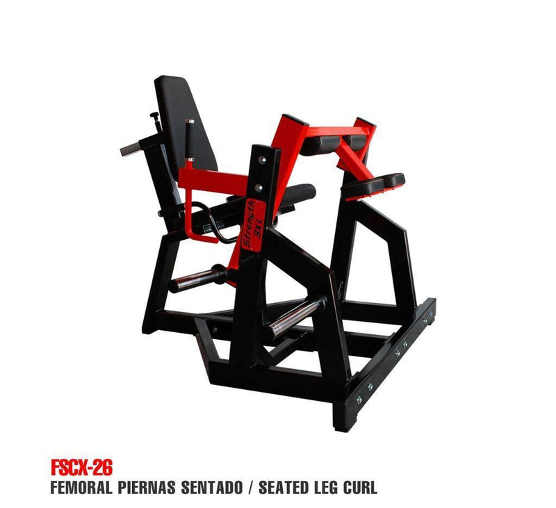 SEATED LEG CURL 3XL